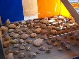 Museo Casa Pintada 2004 